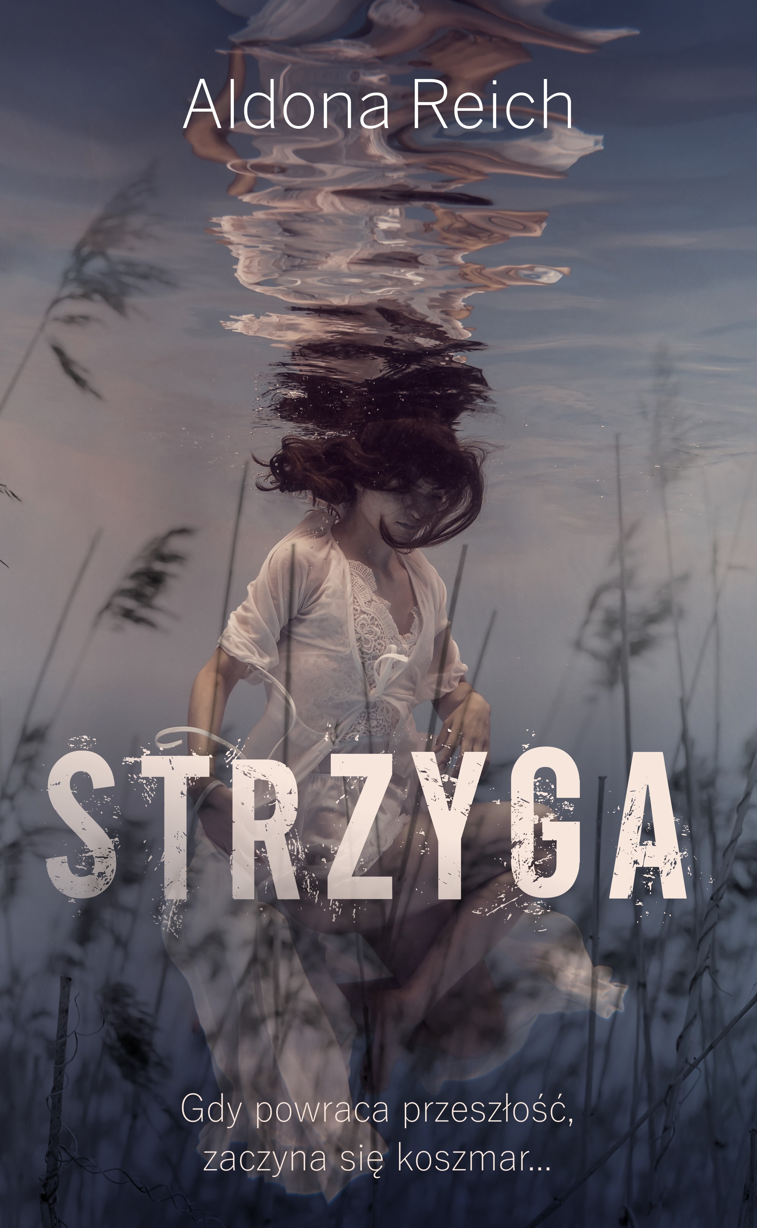 STRZYGA (tom 2)